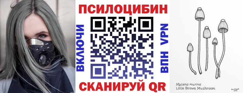 Псилоцибиновые грибы Magic Shrooms  Купить  Кувандык 